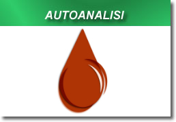 autoanalisi